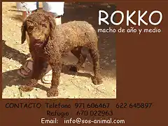 ROKKO Mallorca