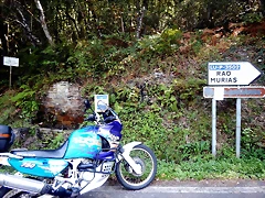 DSCN6974 DSCN6974