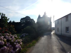 DSCN4449 DSCN4449