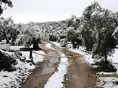 23, camino del Planto, marca