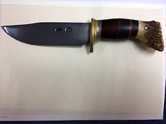 IMG-20171006-WA0031 IMG-20171006-WA0031