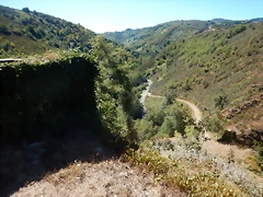 DSCN0209 DSCN0209