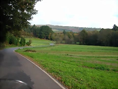 DSCN6224