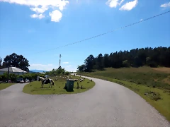 DSCN3159 DSCN3159