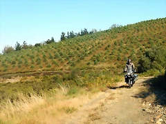 DSCN7700 DSCN7700