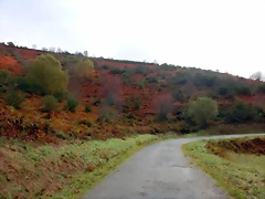 DSCN2684 DSCN2684