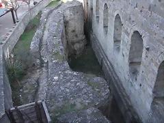 DSCF0669