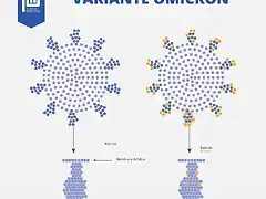 PCM_-variante-Omicron-1