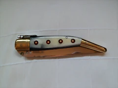 SAM_1472 SAM_1472