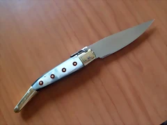 SAM_1466 SAM_1466