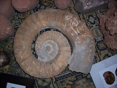 es