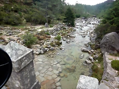 DSCN1894 DSCN1894