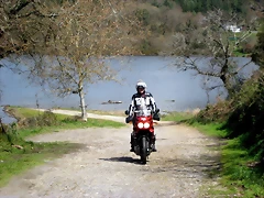 IMG_2429 IMG_2429