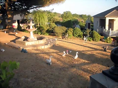 DSCN7232 DSCN7232