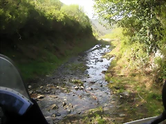 IMG_0463 IMG_0463