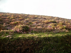 DSCN8448 DSCN8448