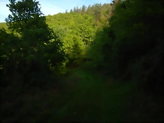 DSCN2089 DSCN2089
