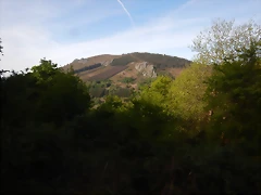 DSCN2090 DSCN2090
