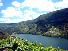DSCN7838 DSCN7838
