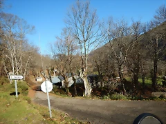 DSCN9056 DSCN9056