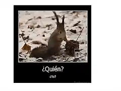 quesera, qu?