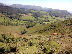 DSCN7100 DSCN7100