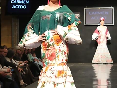 Pasarela 14-2-2015 (43)