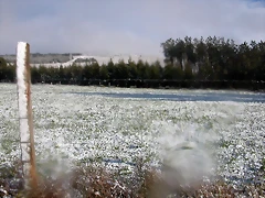 DSCN7477 DSCN7477