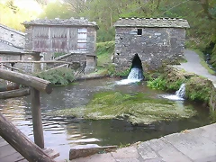 DSCN6773 DSCN6773
