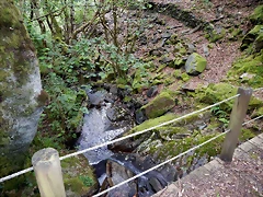 DSCN1379 DSCN1379
