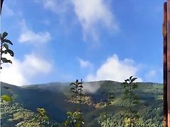 DSCN1294'6 DSCN1294'6