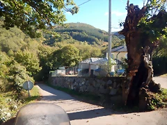 DSCN9162 DSCN9162