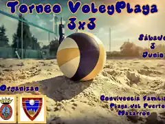 voleyplaya2023-1