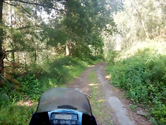 DSCN6196 DSCN6196