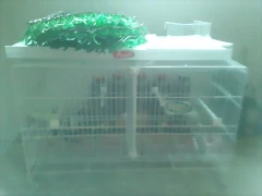 2013-02-03 09.28.53