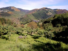 DSCN0998 DSCN0998