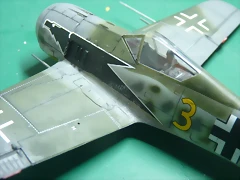 P1100495 P1100495