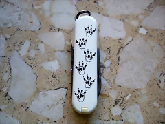 Copia de Rat?n Copia de Rat?n