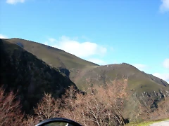DSCN7825 DSCN7825