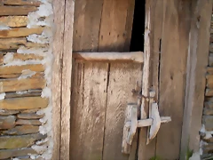 DSCN5825