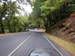 DSCN9131 DSCN9131