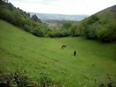 DSCN4546 DSCN4546