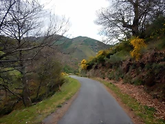 DSCN0856 DSCN0856