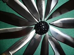 SAM_1602 SAM_1602