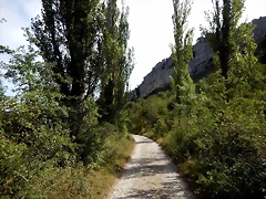 DSCN6522