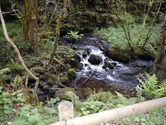 DSCN0723 DSCN0723