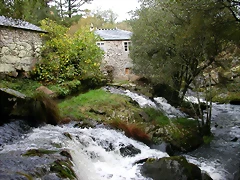 DSCN5774 DSCN5774
