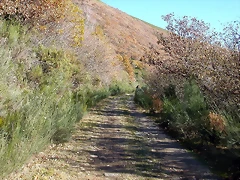 DSCN6854