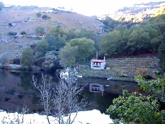 DSCN6478 DSCN6478