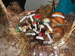 DSCN4503 DSCN4503